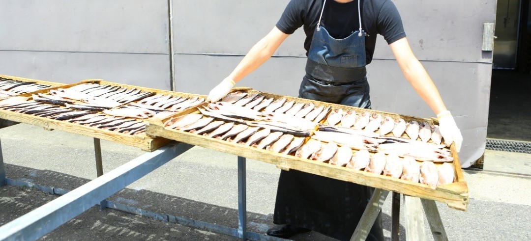 越田水産の仕事4